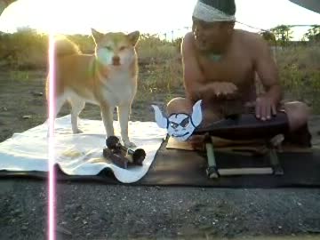 民族音楽で祝う犬