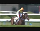 障害3歳上未勝利_アグネスハイヤー