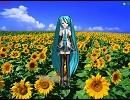 【向日葵の花】初音ミク【オリジナル】