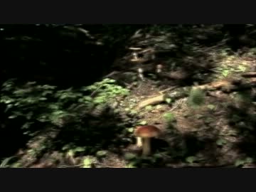 ポアンカレ予想・１００年の格闘(高画質版) (04 of 04)