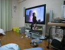 ノル3匹 #13「テレビの中に入ろうとする猫」