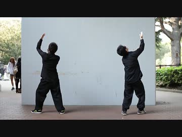 【ヤッくん】あいからかいあ踊ってみた【鷹文】