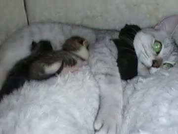 あ！もう一匹産まれたぁぁぁぁ∑(ﾟ◇ﾟﾉ)ﾉ