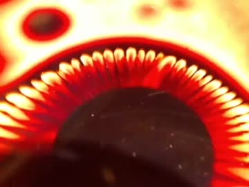 【砂鉄・トナー】磁石で遊んでみた【磁性流体】