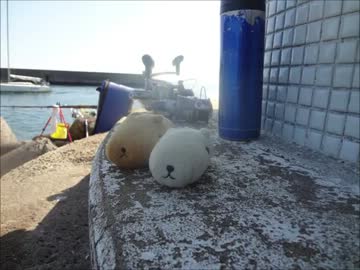 カレイ釣り 2012.10.20.mp4