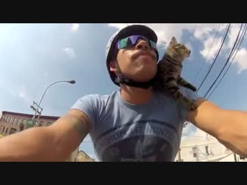 飼い主さんの肩で一緒にサイクリングする猫