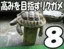 高みを目指すリクガメ８