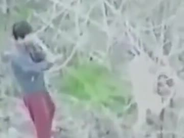 犬を拷問する韓国人　Dogs hung and tortured in South Korea