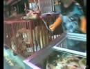 犬を虐待してから殺す韓国の犬食