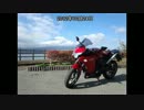 【CBR250R・MC41】一年経過につき突発奥多摩ツーリング
