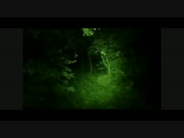 日本と韓国が戦争をしたらどうなるか