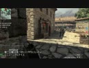 XBOX　CoD:MW3(ア●ム)NiCoD5祭　TDF