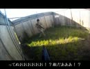 [長野県民が行く]H24/8/19/デザートストーム川越Ⅲ[サバイバルゲーム]