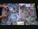【遊戯王】ガチそうでガチじゃない少しガチなカオドラVSシルミル　11