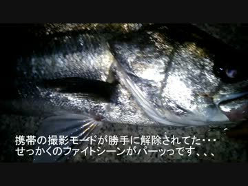 たまに行くならこんなルアーフィッシング　シーバスその②