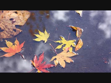 道民ライダーが秋の北海道さんを見てきた【豊平峡ダム】