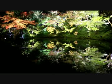 秋の高台寺・ライトアップ【2012/10/24】