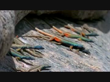 砂漠・乾きの大地 (02 of 02)