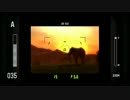 【初見】ハカハカしながらアフリカ実況 第12夜