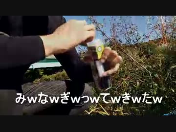 バイクで【ニコニコ鯉釣りダービー】リベンジ！