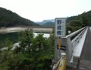 野道溜池へ行ってきた《山口市阿東・R315沿い》