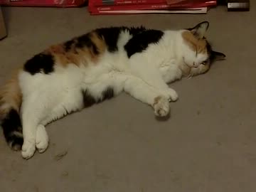 寝てるふり・・・・・・．