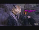 【FF11】～コツ旅～実況No28【教えて！アビセア②妊娠？】