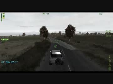パープルハート先輩 in DayZ