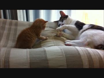 やたろうとのぼる