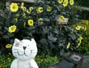 微速度撮影をしてみた