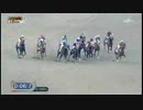 【競馬】韓国史上最強馬ミスターパークの勇姿をご覧あれ【韓国】