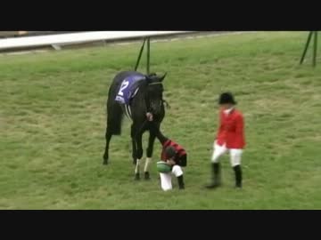 №54  競馬ファンの総統閣下は天皇賞（秋）に挑戦しました　2012