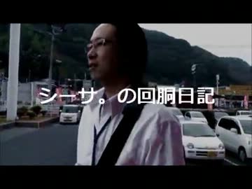 【非公式】シーサ。の回胴日記　＃1～44　収支まとめ【パチスロ】