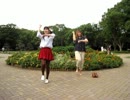【代々木公園の大地を踏みしめながら】ドレミファロンド【踊ってみた】