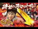 【ガイドブック】戦国パチスロ・花の慶次 / newgin