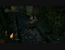 DSプレイ動画7