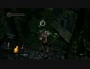 DSプレイ動画8