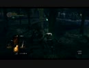【ダークソウル】死を、覚悟せよ【実況】Soul.6