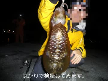 目指せキロオーバー！エギング＆浮き釣り編＠ごましお