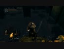 DSプレイ動画9