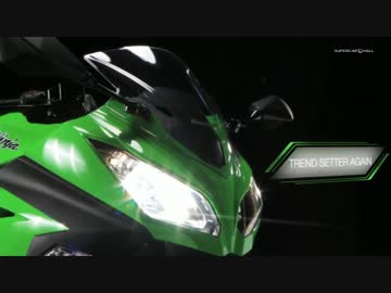 2013 Kawasaki Ninja 300　