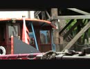 TDS トランジットスチーマーライン12年10月30日