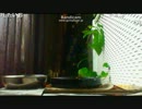 THE  ＭＯＶＩＥ　ＮＩＢＯＳＨＩ＠新 改正版