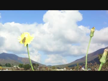 行けば何かがあるでしょ!!　「蒜山・大山編」 前編