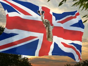 ナポレオンレイプ！英国王と化した淫夢くんGBR