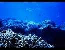 がんばれゴエモン(耳コピ):人は水から生まれました