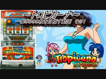 【パチスロ】トロピカーナ 一撃9999枚を目指す Part1