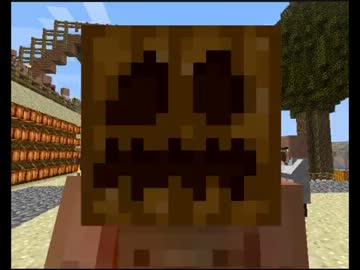 【Minecraft】もう俺、村人でいいや～竜討伐編～【実況】　５日目