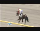 障害3歳上オープン_ゴールデンガッツ
