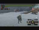 MHP2 ヘビィボウガンで行く 「異常震域」-b